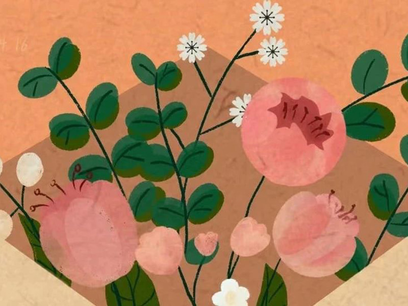 Litterae familiae Jufeng